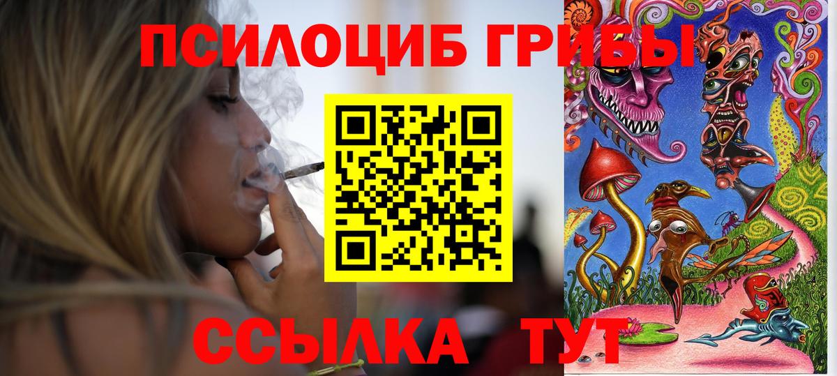Галлюциногенные грибы Psilocybe  Вход с VPN  Егорьевск 